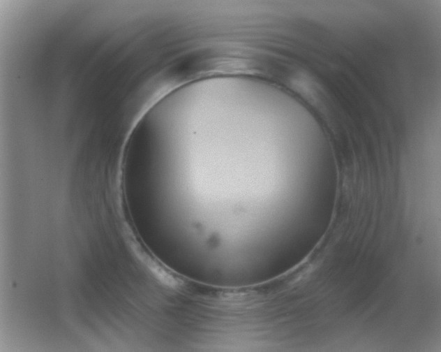 X0000062911378200601131415