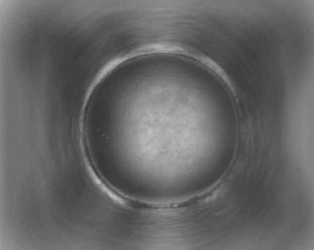 X0000062911381200601131415