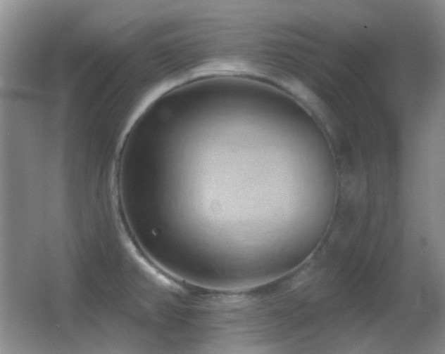 X0000062911382200601131415