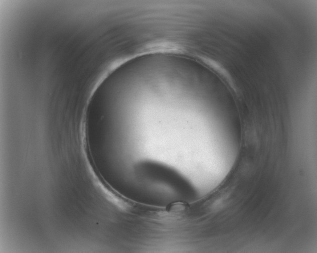 X0000062911383200601131415