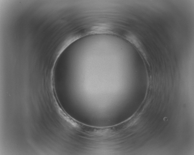 X0000062911386200601131415