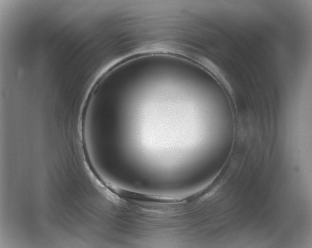 X0000062911388200601131415