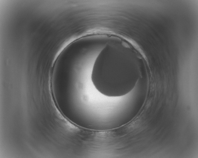 X0000062911390200601131415