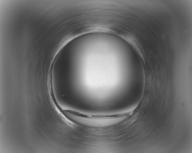 X0000062911391200601131415
