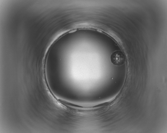 X0000062911392200601131415