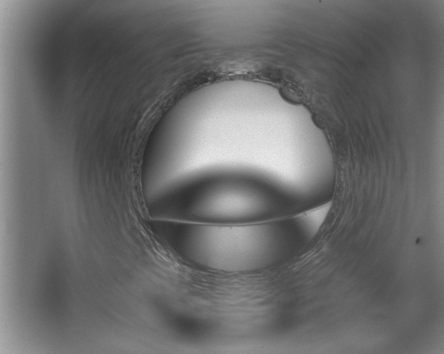 X0000062911393200601131414