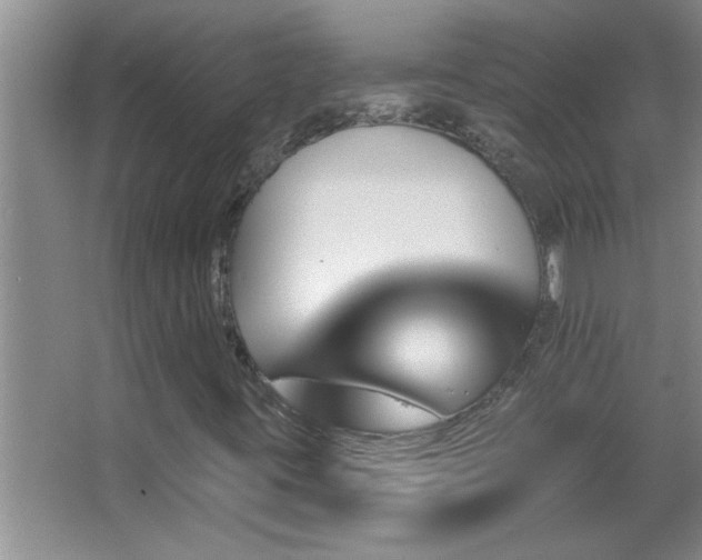 X0000062911395200601131414