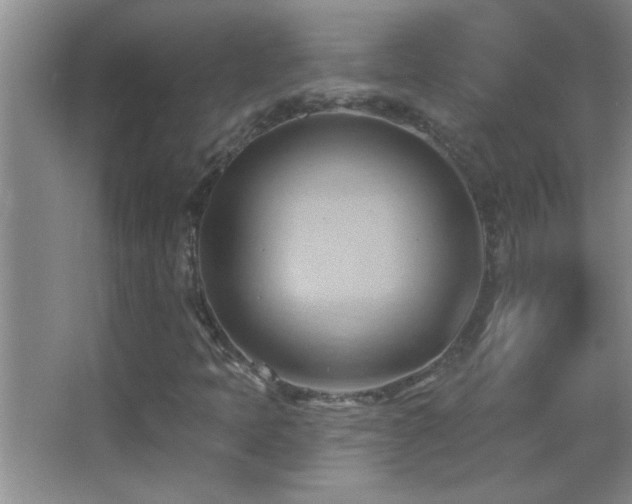 X0000062911397200601131414