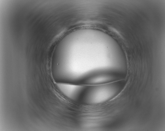 X0000062911403200601131414