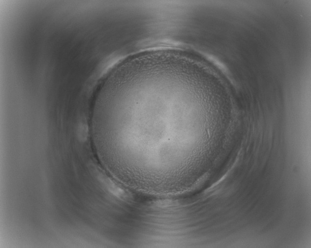 X0000062911407200601131414