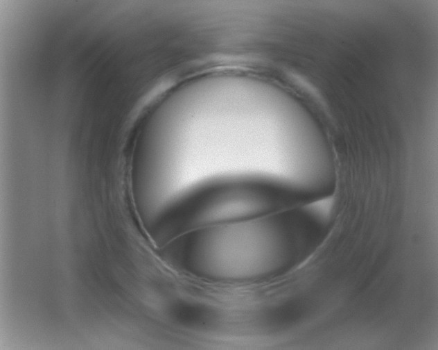 X0000062911411200601131414