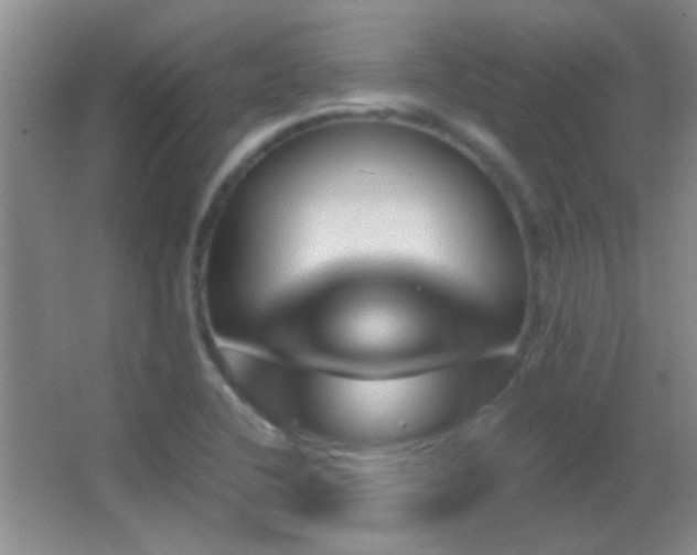 X0000062911412200601131414