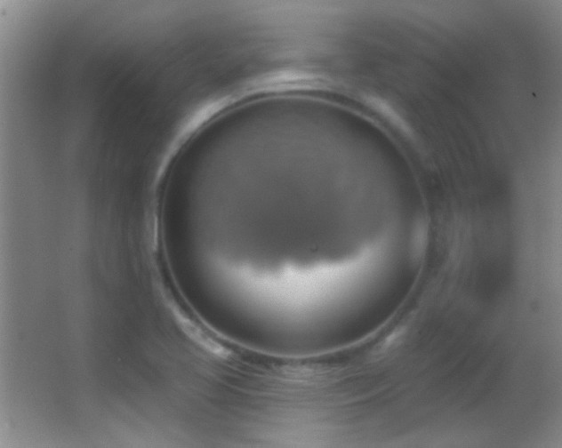 X0000062911413200601131414