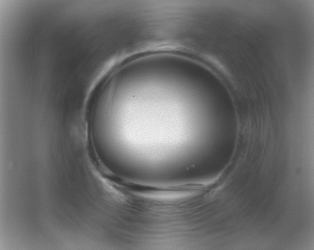X0000062911414200601131414