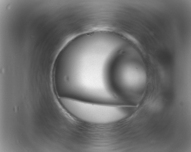 X0000062911423200601131414