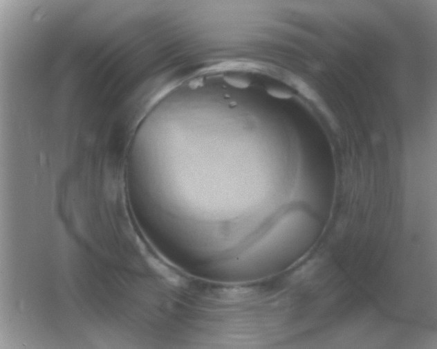 X0000062911425200601131414