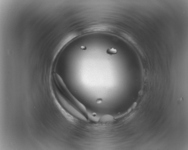 X0000062911426200601131414