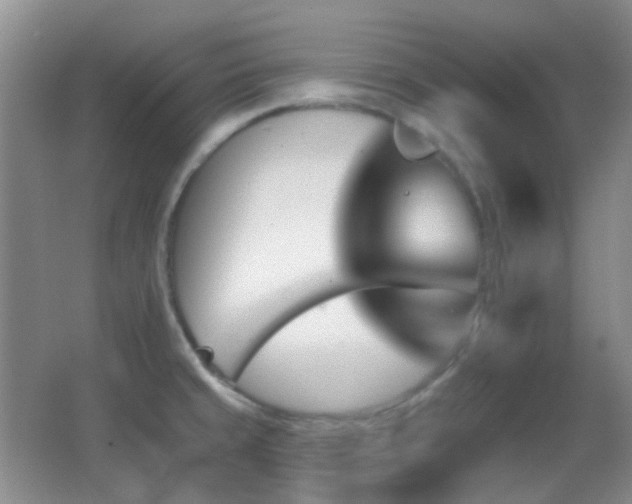 X0000062911429200601131414