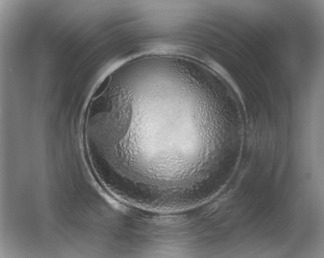 X0000062911437200601131415
