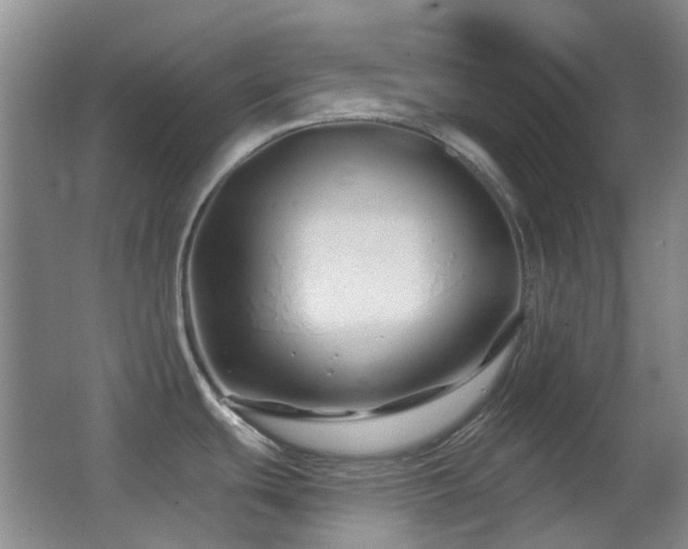 X0000062911439200601131415