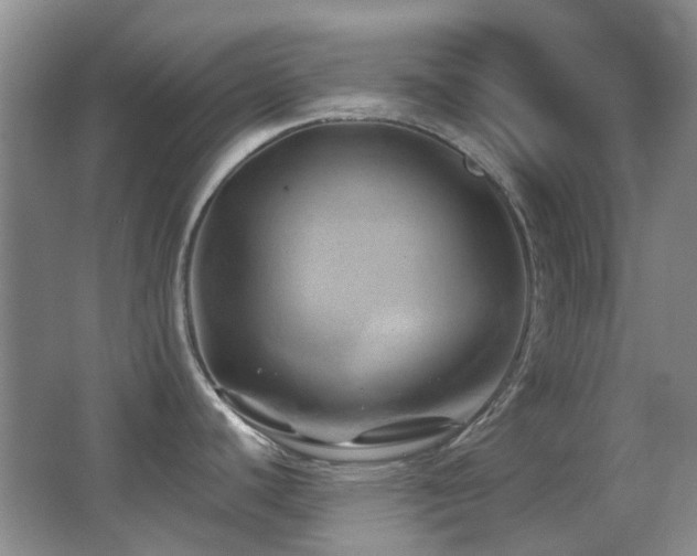 X0000062911440200601131415
