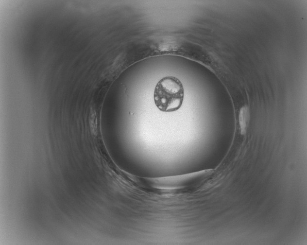 X0000062911443200601131414