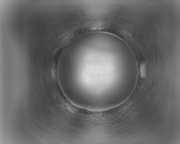 X0000062911444200601131414