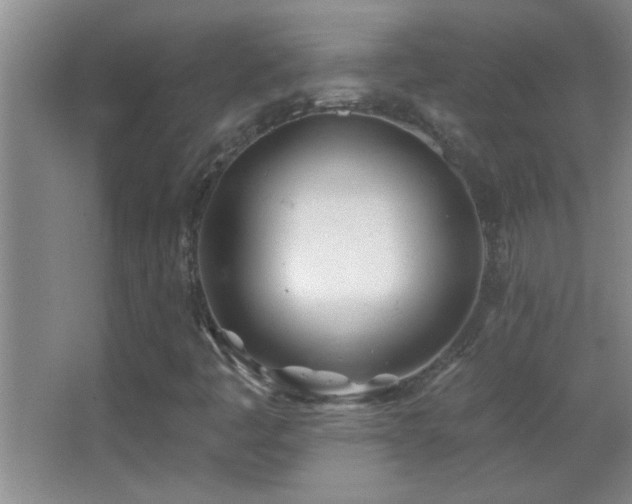 X0000062911445200601131414