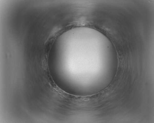 X0000062911446200601131414