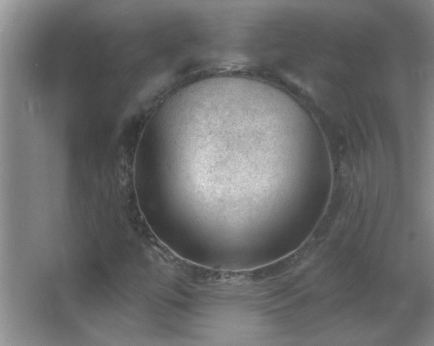 X0000062911447200601131414