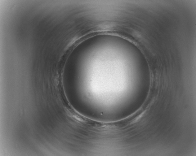 X0000062911449200601131414