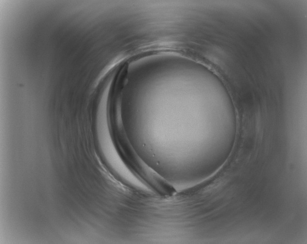 X0000062911450200601131414