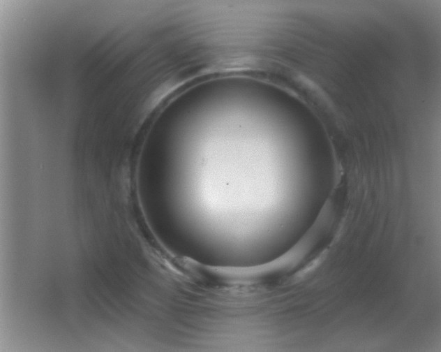 X0000062911457200601131414