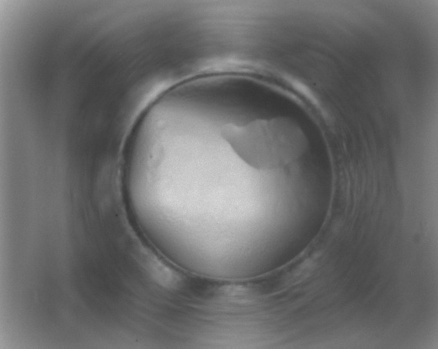 X0000062911463200601131413