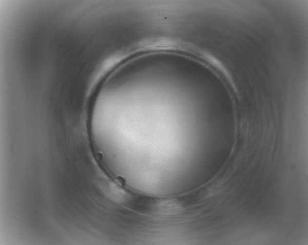 X0000062911464200601131413