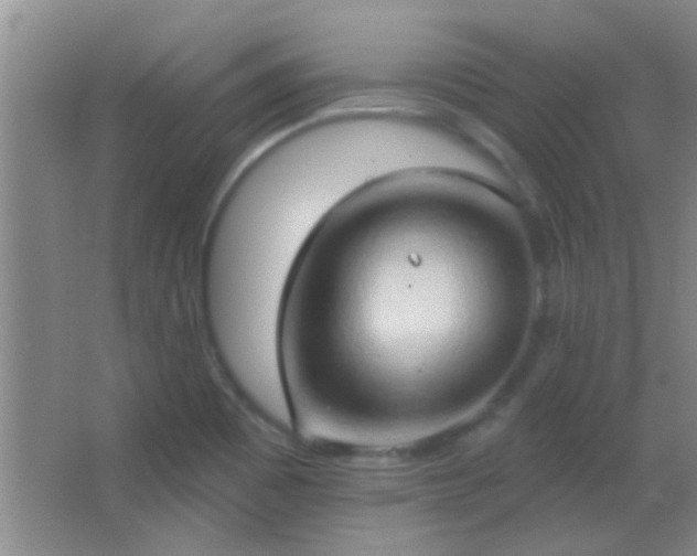 X0000062911465200601131413