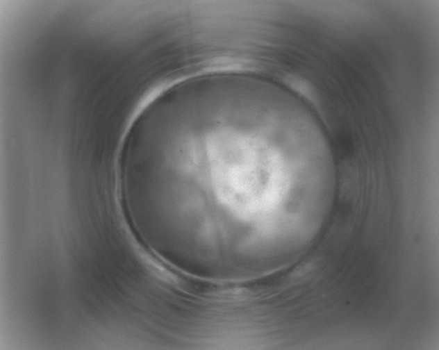 X0000062911467200601131413