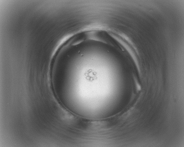 X0000062911469200601131413