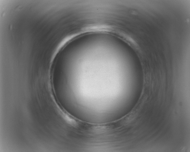 X0000062911470200601131413