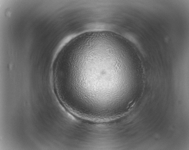 X0000062911472200601131413