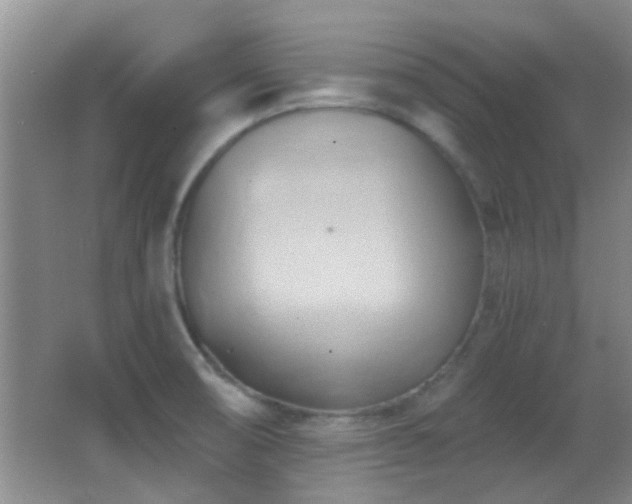 X0000062911474200601131413