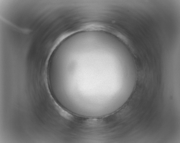 X0000062911478200601131413