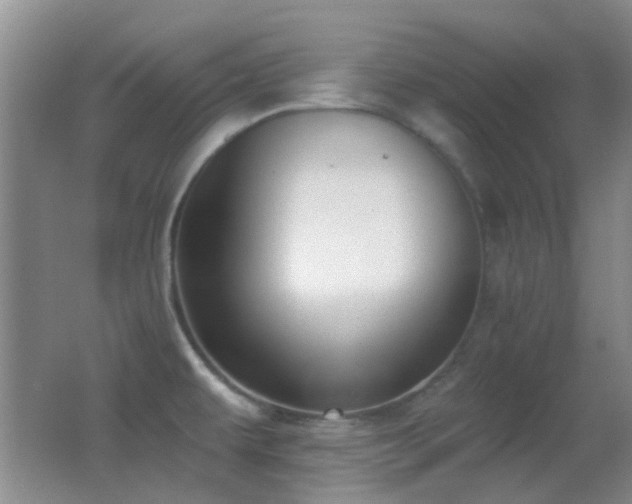 X0000062911479200601131413