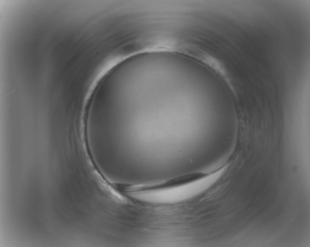 X0000062911480200601131413