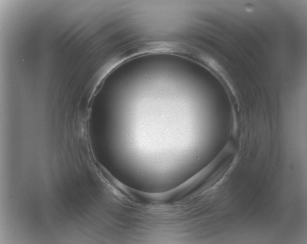 X0000062911481200601131413
