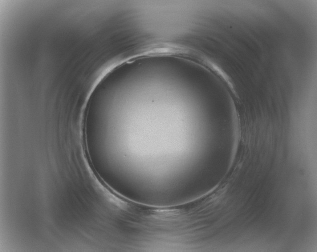 X0000062911483200601131413