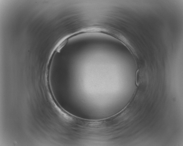 X0000062911484200601131413