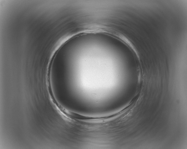 X0000062911485200601131413