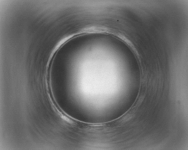 X0000062911486200601131413