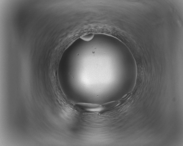 X0000062911489200601131412